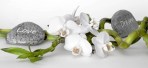 orchid-2115256_1920