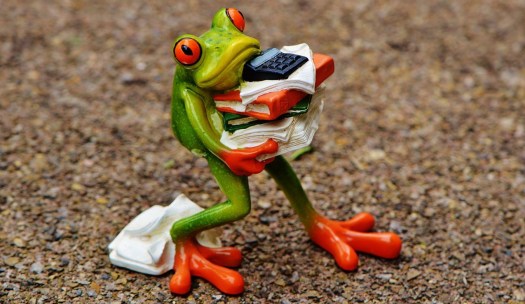 frog-1339892_1280 (1)